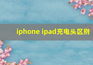 iphone ipad充电头区别